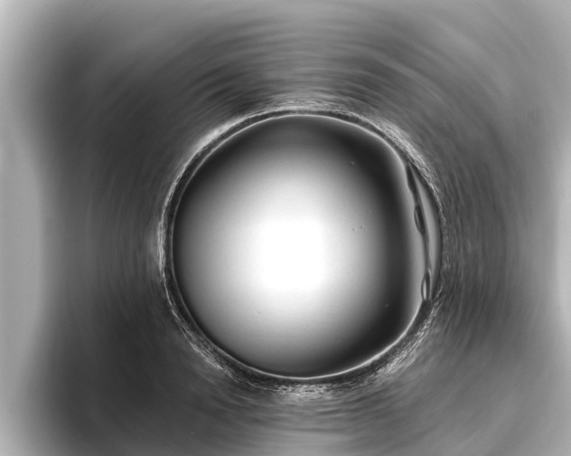 X0000096410846200801311351