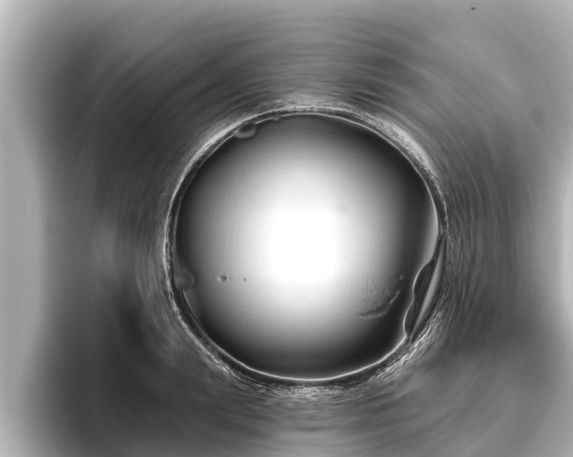 X0000096410847200801311351