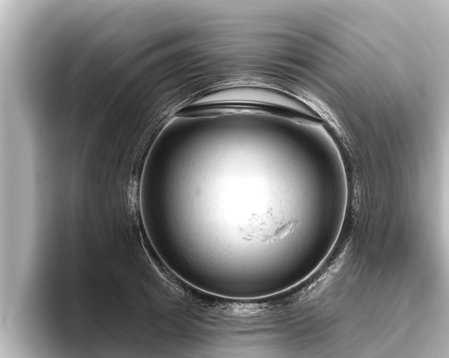 X0000096410849200801311351