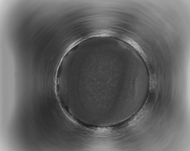 X0000096410850200801311351