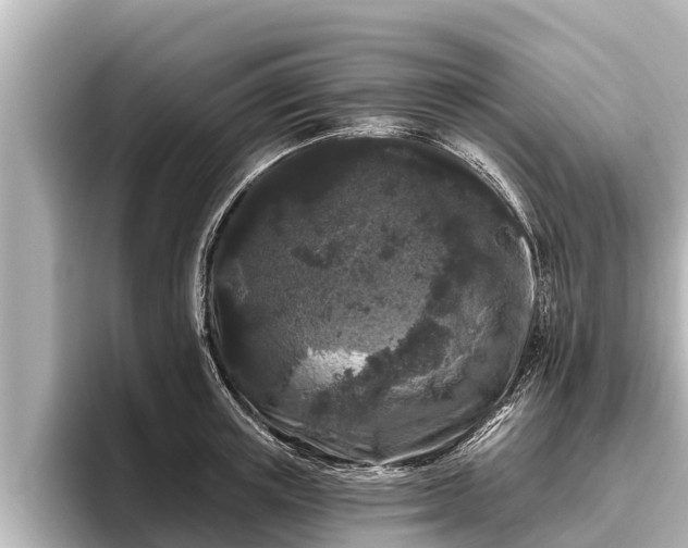 X0000096410851200801311351