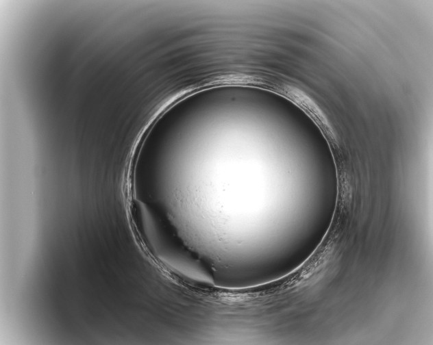 X0000096410852200801311351