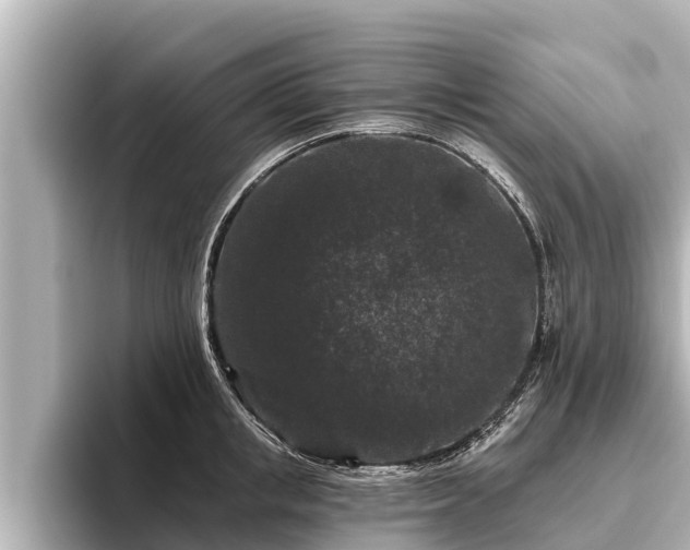 X0000096410853200801311351