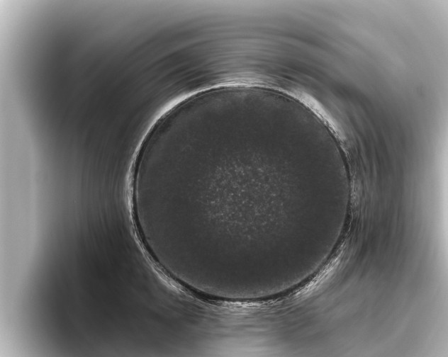 X0000096410854200801311351