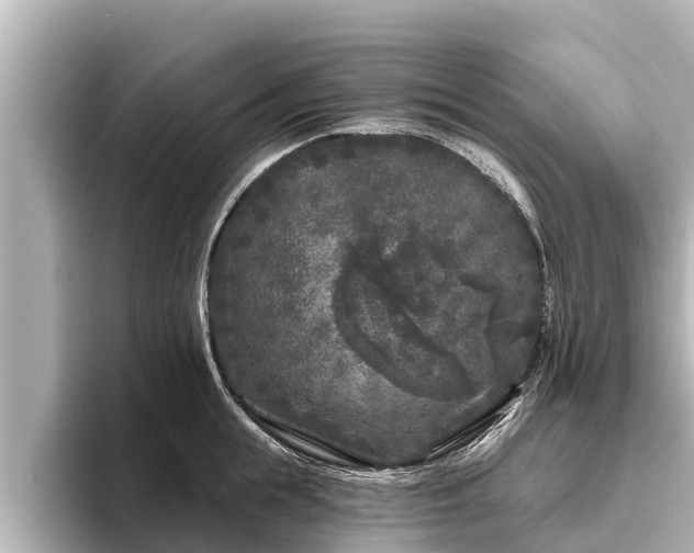 X0000096410855200801311351