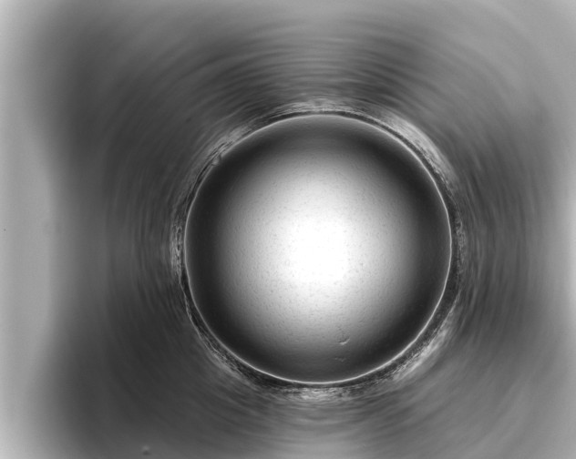 X0000096410857200801311351