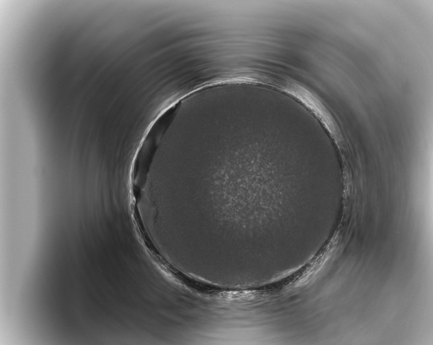 X0000096410858200801311351
