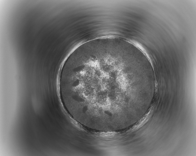 X0000096410859200801311351