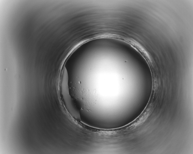 X0000096410860200801311351