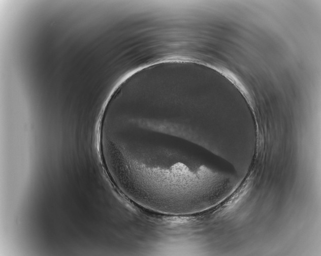 X0000096410862200801311351