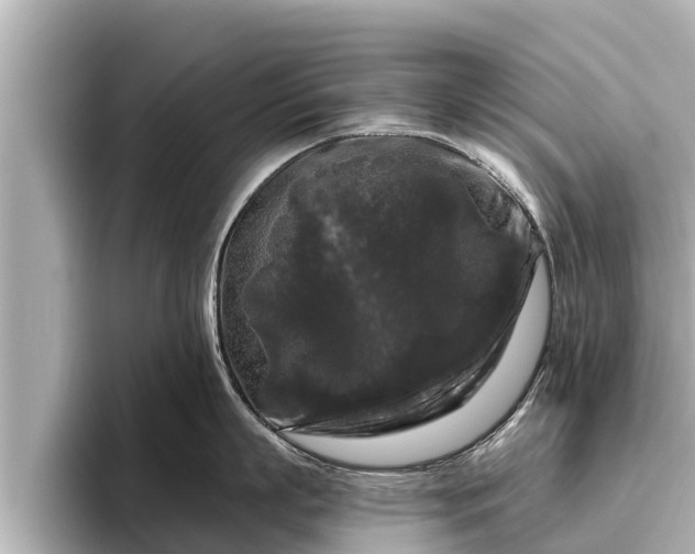 X0000096410863200801311351