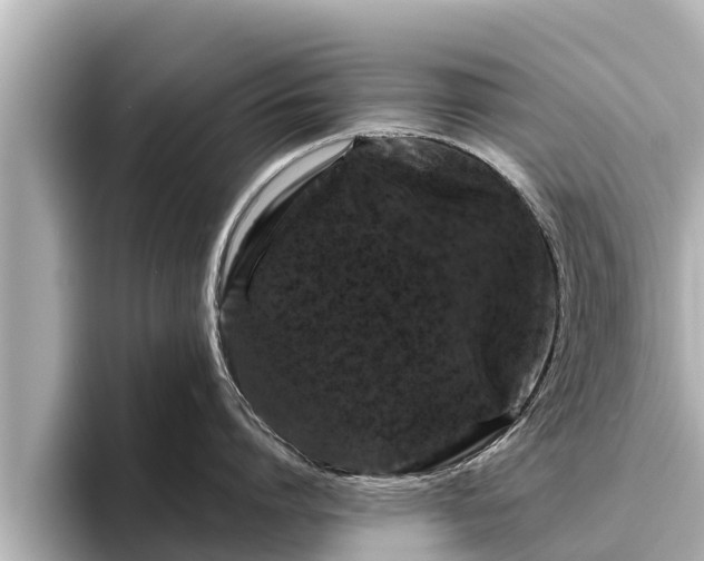 X0000096410864200801311351