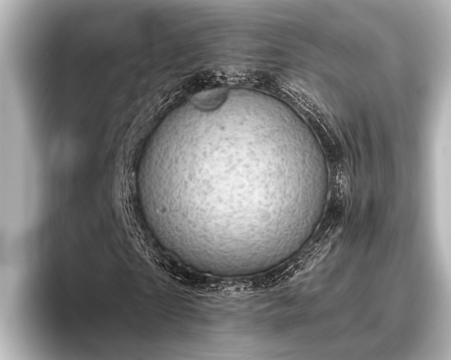X0000096410865200801311350