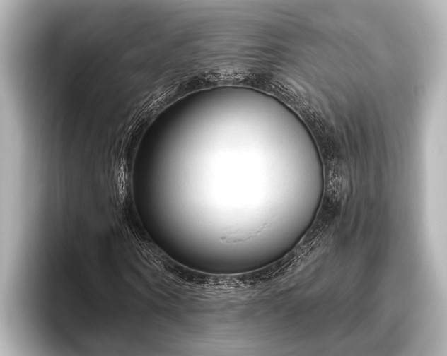 X0000096410866200801311350