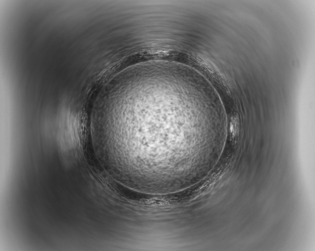 X0000096410867200801311350