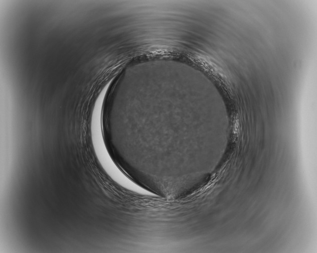 X0000096410868200801311350