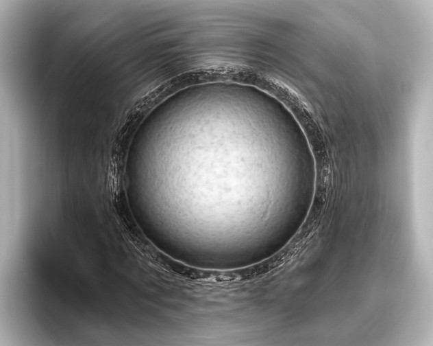 X0000096410869200801311350
