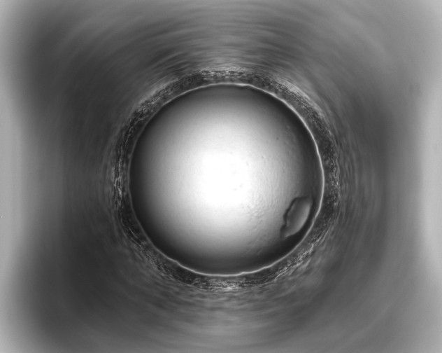 X0000096410870200801311350
