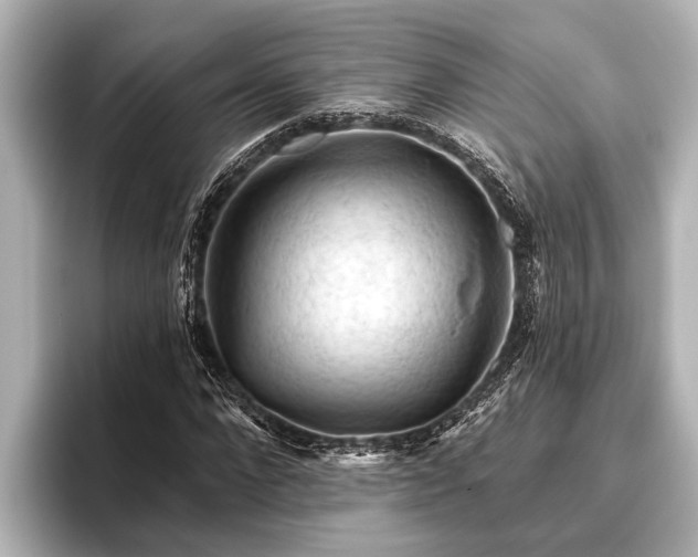 X0000096410872200801311350