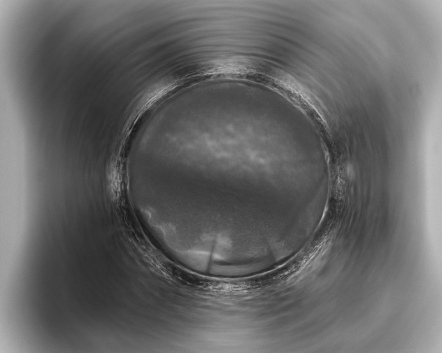 X0000096410874200801311350