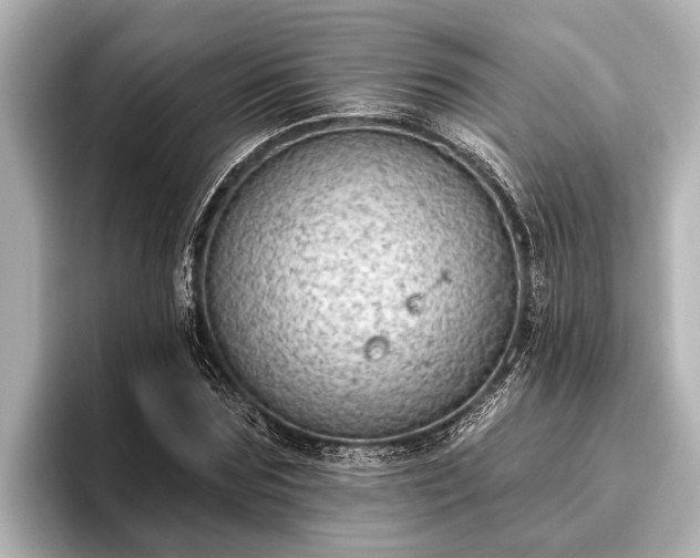X0000096410875200801311350