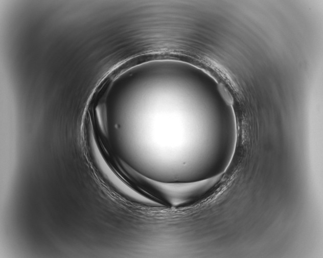X0000096410876200801311350
