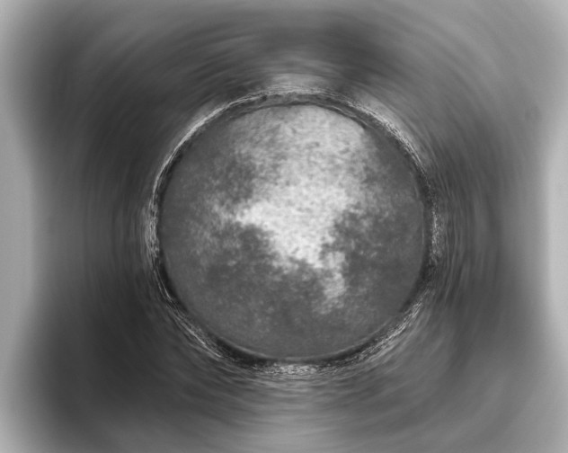 X0000096410878200801311350
