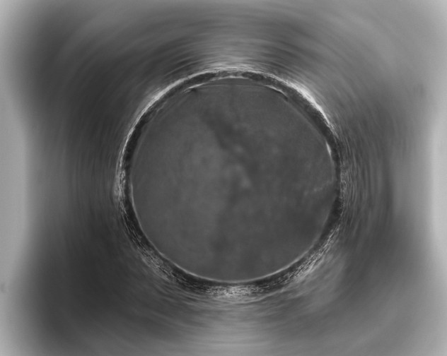 X0000096410879200801311350