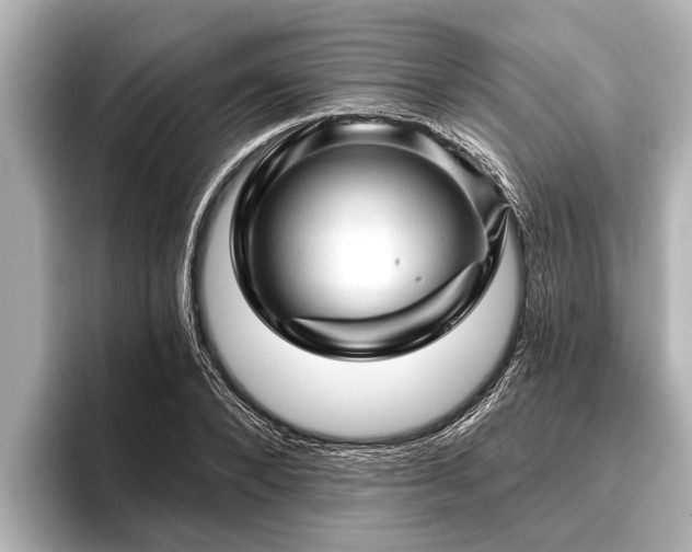 X0000096410880200801311350
