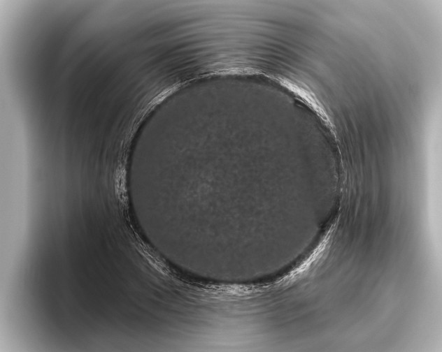 X0000096410881200801311350