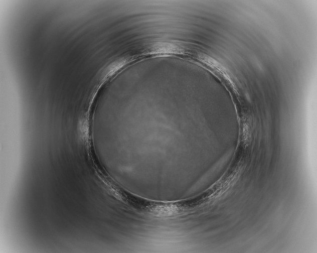 X0000096410882200801311350