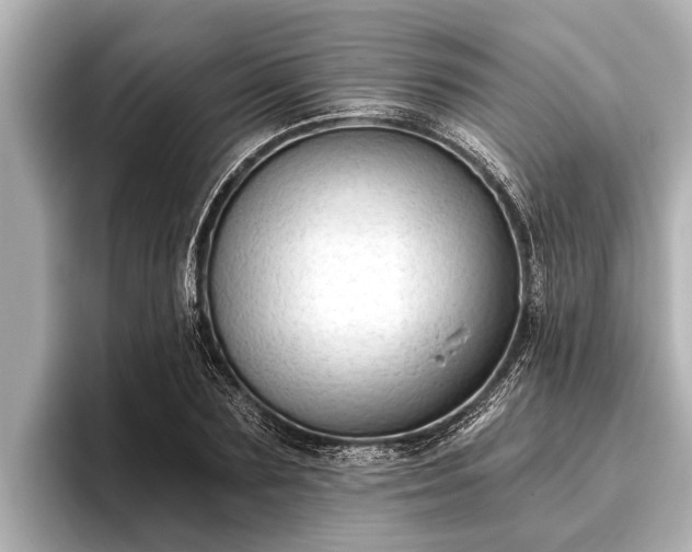 X0000096410883200801311350