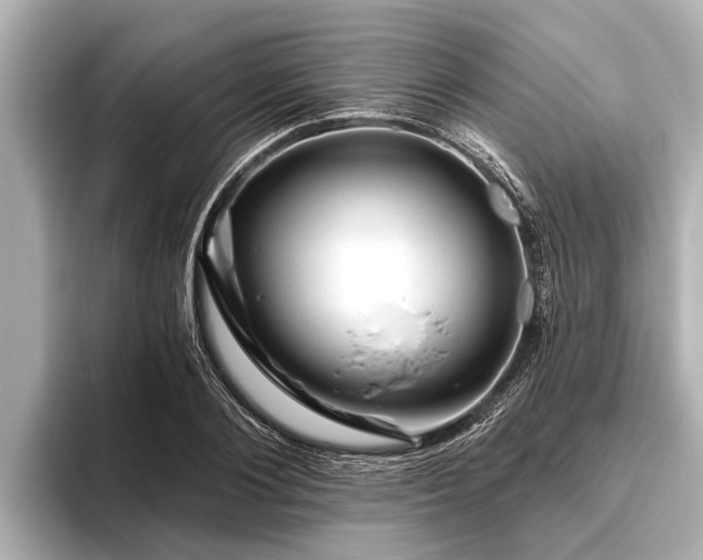 X0000096410884200801311350