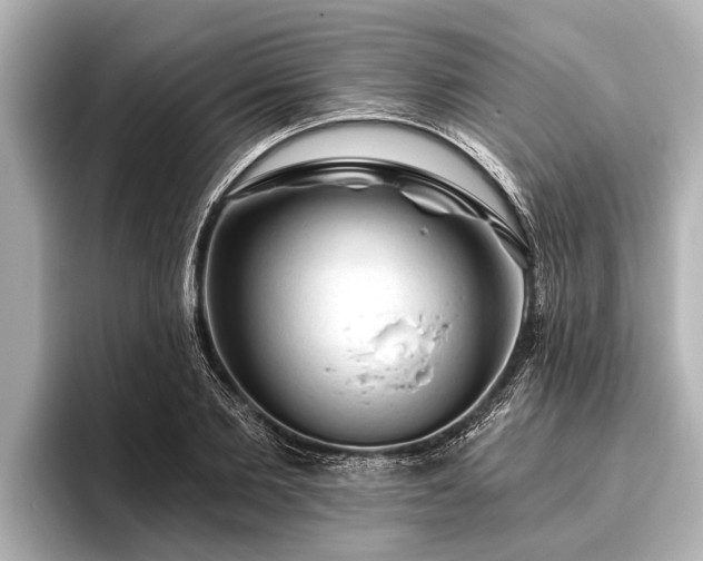 X0000096410885200801311350