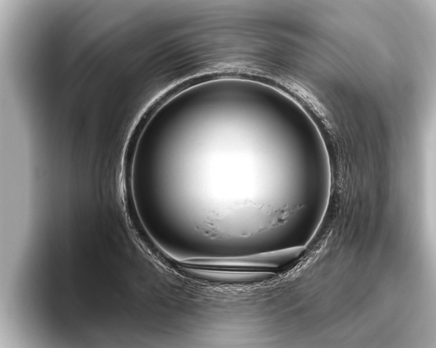 X0000096410888200801311350