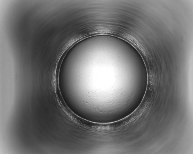 X0000096410890200801311350