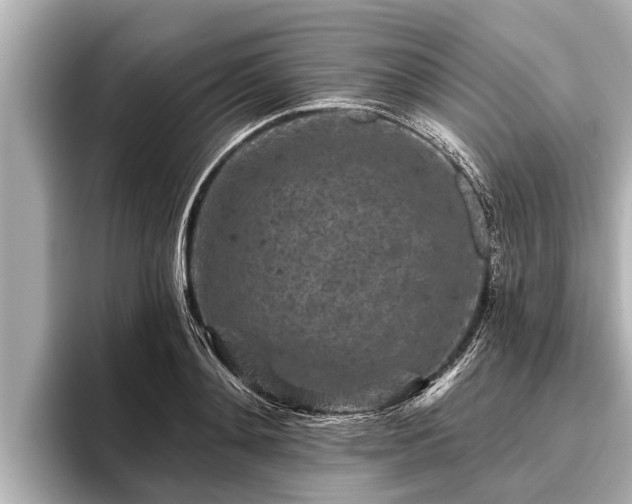 X0000096410892200801311350