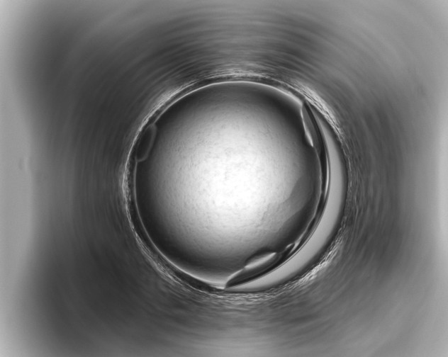 X0000096410893200801311350