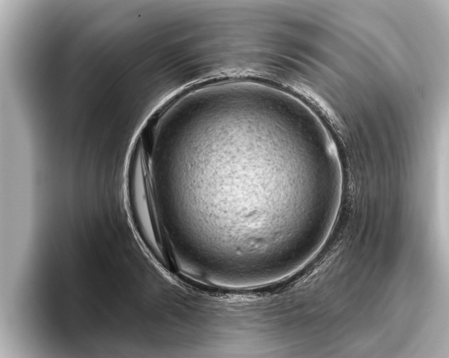 X0000096410894200801311350