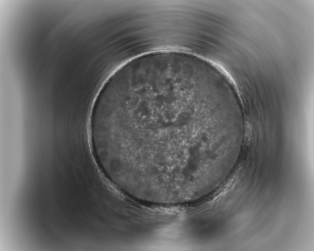 X0000096410895200801311350