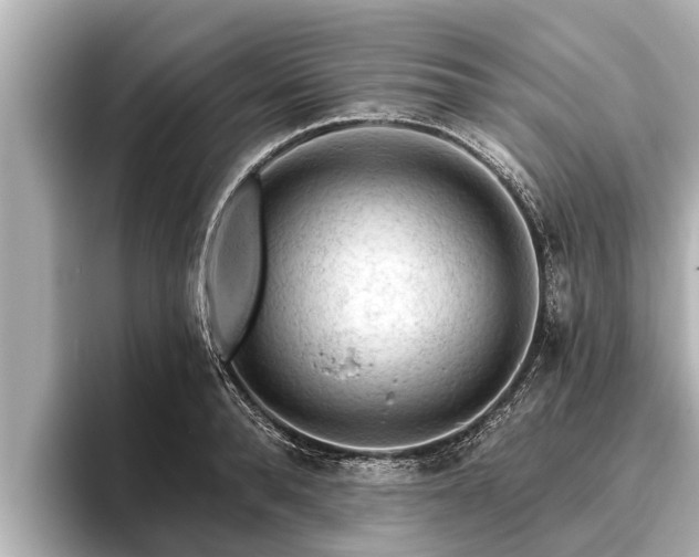 X0000096410896200801311350