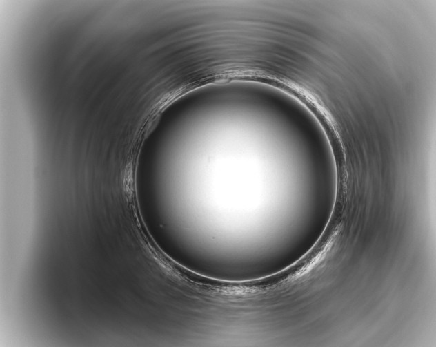 X0000096410897200801311350
