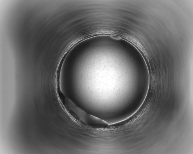 X0000096410898200801311350