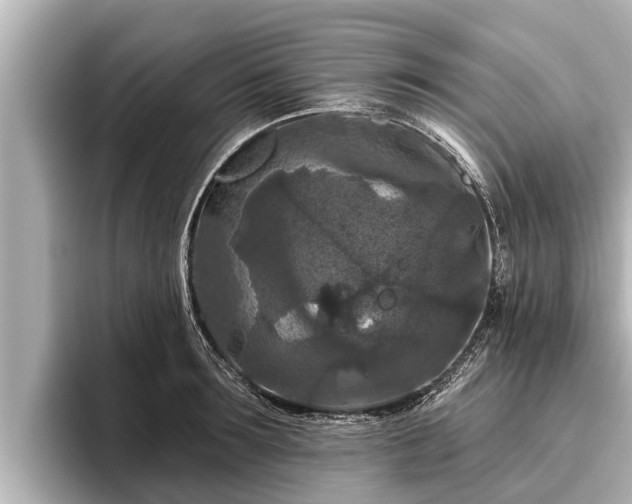X0000096410899200801311350
