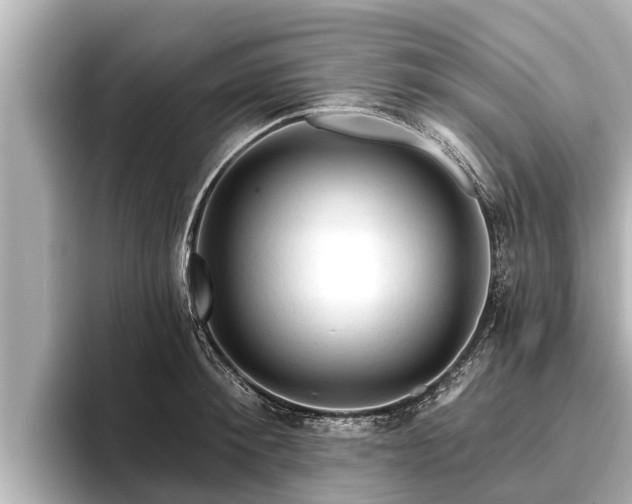 X0000096410900200801311350
