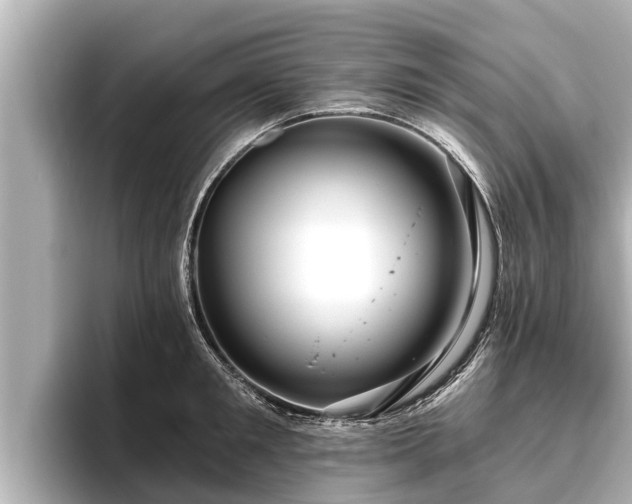 X0000096410901200801311350