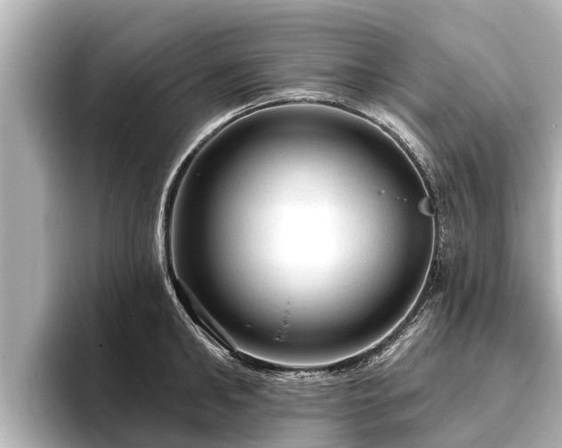 X0000096410902200801311350
