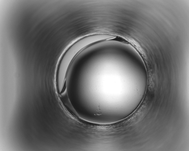 X0000096410904200801311350