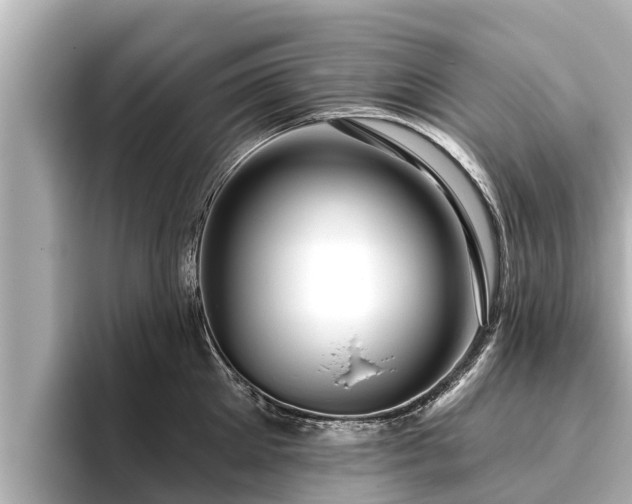 X0000096410905200801311350