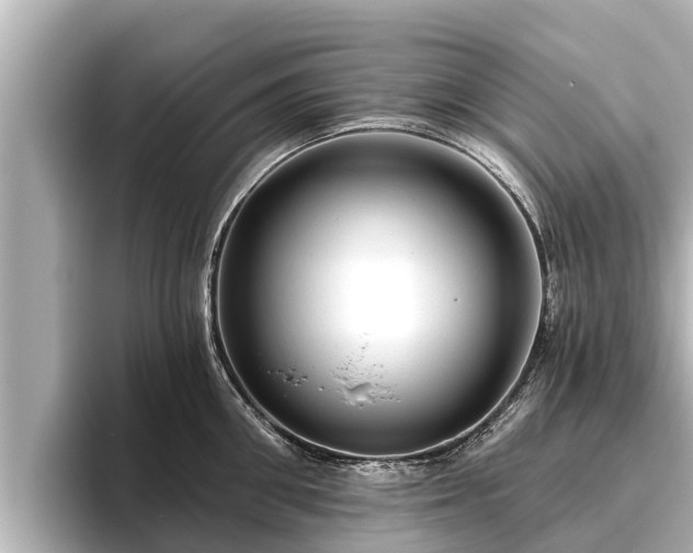 X0000096410906200801311350